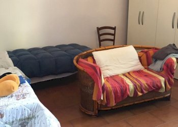 IMG_6460.JPG - Rustico Pisa - foto 19