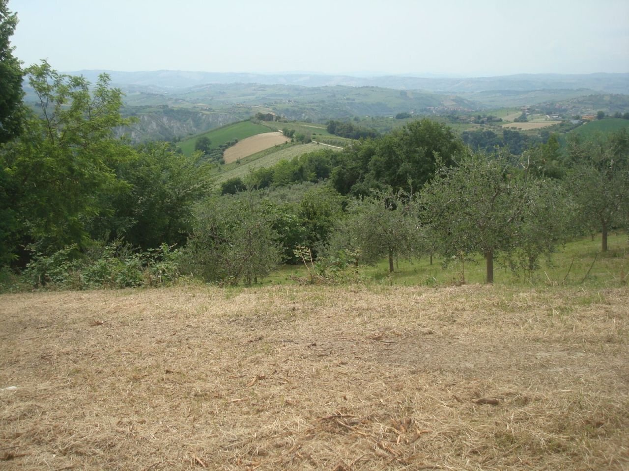 DSC02821.jpg - Independent house Unnamed Road, Castignano - photo 3