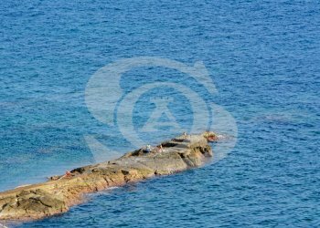 DSC_2912.jpg - Appartamento Lungomare Cristoforo Colombo 69, Ospedaletti - foto 20