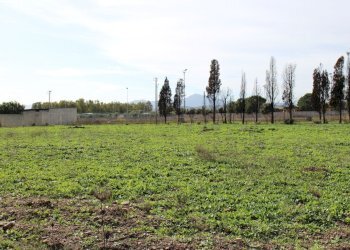 1.JPG - Terreno edificabile Uta - foto 1