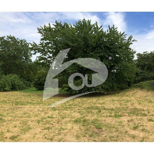 Terreno edificabile Via Noghetto 12, Cittiglio - foto 2