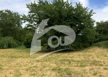 Terreno edificabile Via Noghetto 12, Cittiglio - foto 2