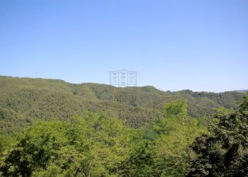 IMG_9849.JPG - Villa SP38 22, Coreglia Antelminelli - foto 14