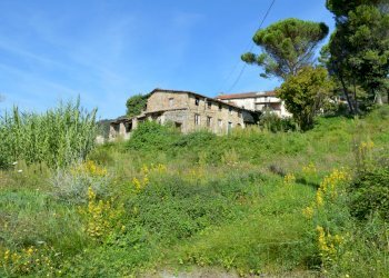 Torre 002.JPG - Casale Via della Maulina 720, Lucca - foto 2