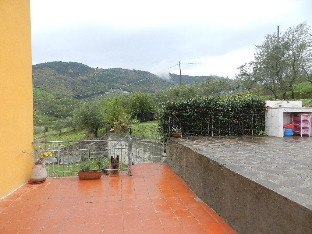 DSCN9243.JPG - Casale Via della Stazione 135, Lucca - foto 3