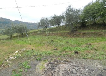 DSCN9252.JPG - Casale Via della Stazione 135, Lucca - foto 12