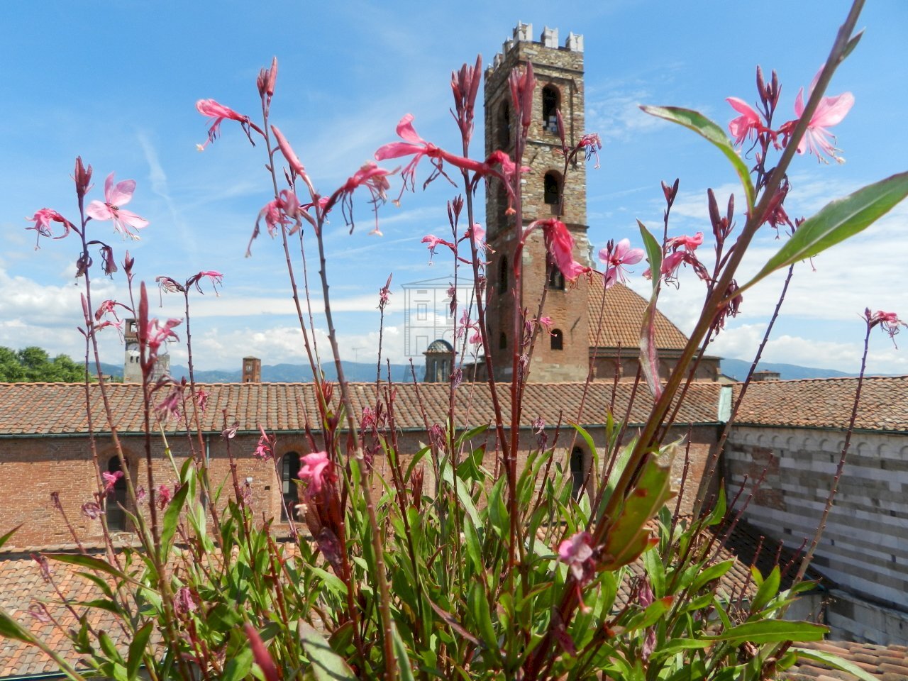 DSCN2536.JPG - Commercial Premises via Beccheria 35, Lucca - photo 1