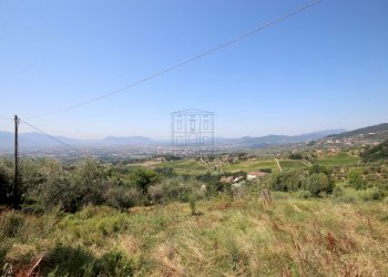 IMG_1691.JPG - Casale Lucca - foto 16