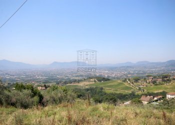 IMG_1697.JPG - Casale Lucca - foto 17