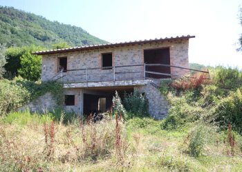 IMG_1706.JPG - Casale Lucca - foto 18