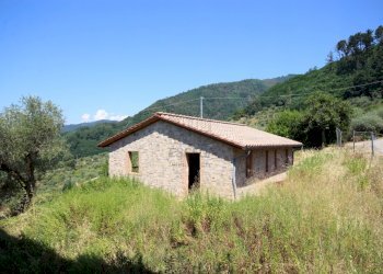 IMG_1712.JPG - Casale Lucca - foto 20