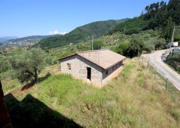 IMG_1718.JPG - Casale Lucca - foto 21