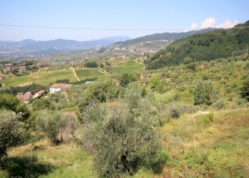 IMG_1730.JPG - Casale Lucca - foto 29