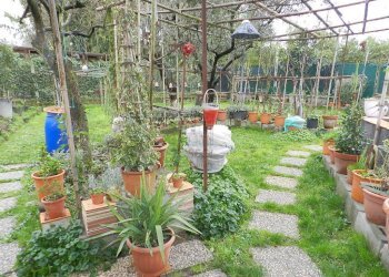 DSCN8912.JPG - Appartamento Altopascio - foto 11