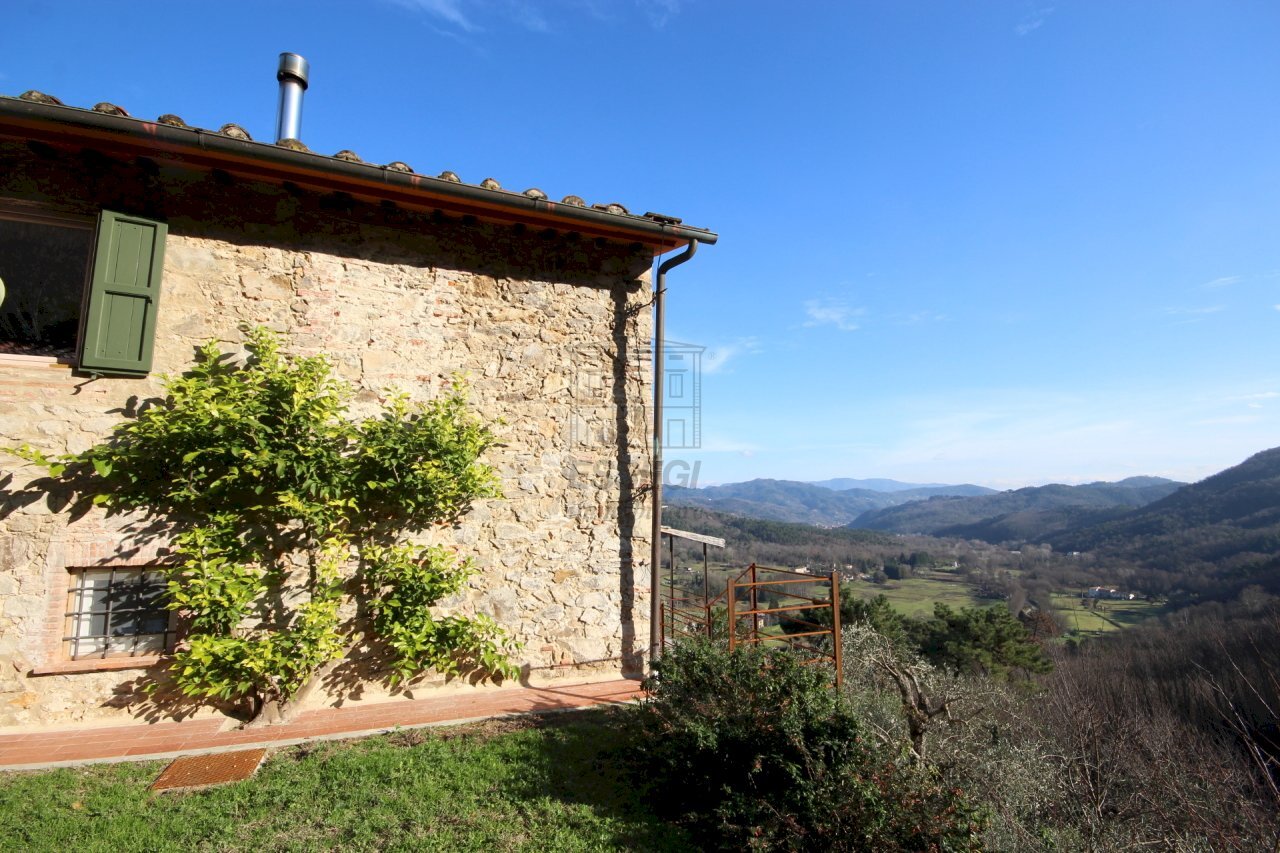 vendesi rustico (10).JPG - Casale Camaiore - foto 2