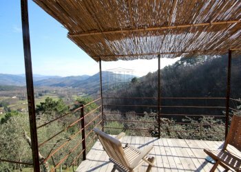 vendesi rustico (14).JPG - Casale Camaiore - foto 8