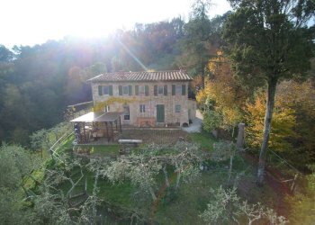 YUNC0055.jpg - Casale Camaiore - foto 27