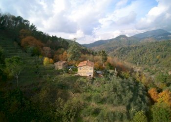 YUNC0059.jpg - Casale Camaiore - foto 28