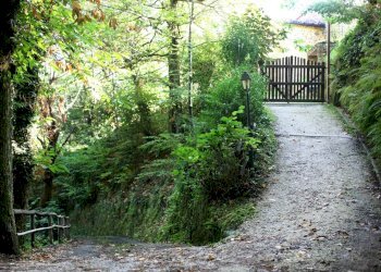 accès6.jpg - Casale Camaiore - foto 29