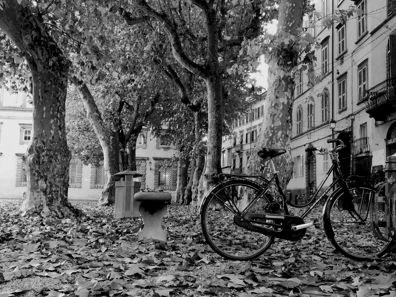 piazza napoleone copia.jpg - Abbigliamento - Intimo Lucca - foto 1