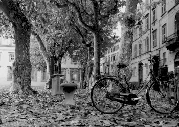 piazza napoleone copia.jpg - Abbigliamento - Intimo Lucca - foto 1