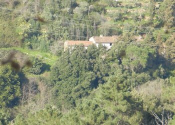 casa colonica da ristruttrurare Lucca (18).JPG - Casale Via per Chiatri, Lucca - foto 2