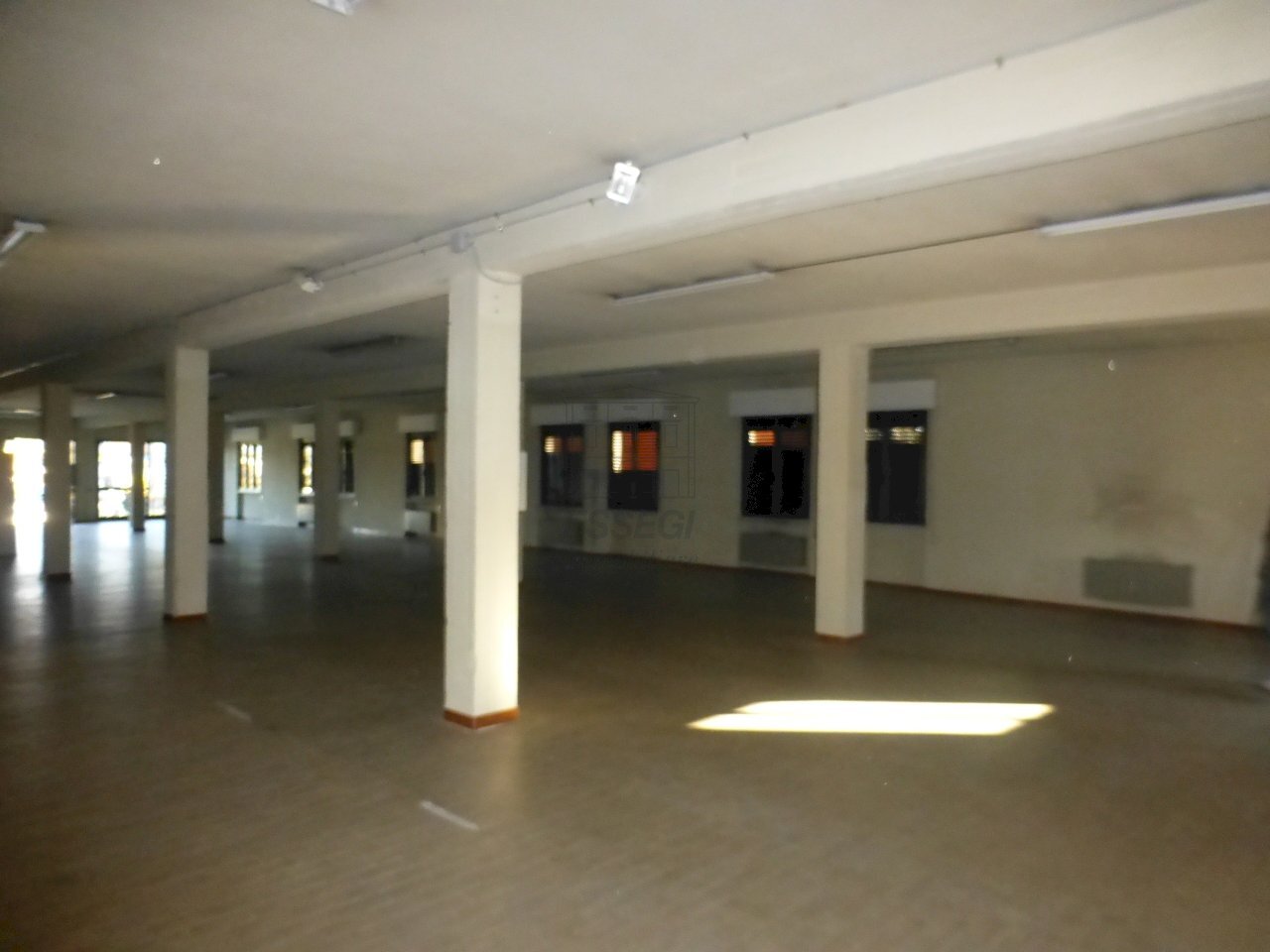 P1090451.JPG - Locale Commerciale Capannori - foto 1