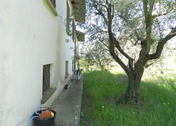 Casa colonica con piscina a lucca (12).JPG - Casale Via del Marginone, Montecarlo - foto 26