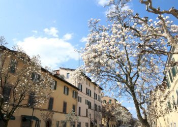 lucca corso garibaldi.JPG - Locale Commerciale Lucca - foto 6