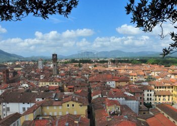 lucca_4.jpg - Locale Commerciale Lucca - foto 9