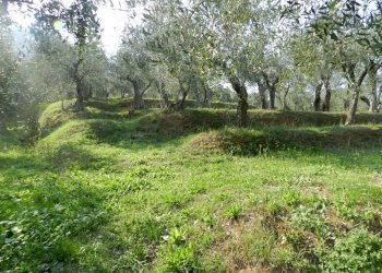 villa in vendita a lucca (55).JPG - Casale Via di Villa Gaia 508, Lucca - foto 14