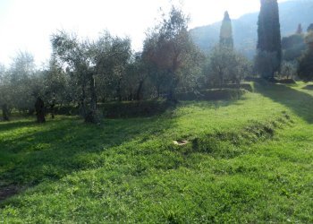 villa in vendita a lucca (56).JPG - Casale Via di Villa Gaia 508, Lucca - foto 15