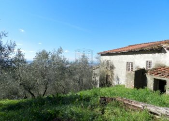 DSCN8416.JPG - Casale Lucca - foto 2