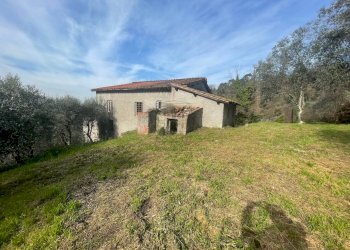 Rustico da ristrutturare (1).jpg - Casale Lucca - foto 4