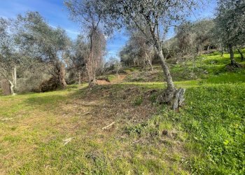 Rustico da ristrutturare (2).jpg - Casale Lucca - foto 6