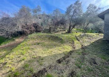 Rustico da ristrutturare (3).jpg - Casale Lucca - foto 7