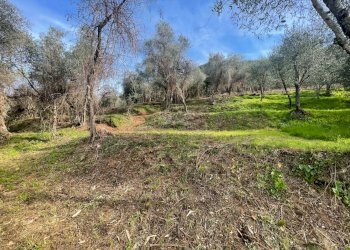 Rustico da ristrutturare (5).jpg - Casale Lucca - foto 8