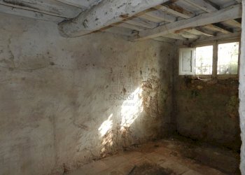 DSCN8402.JPG - Casale Lucca - foto 11