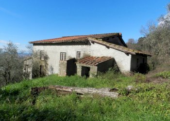 DSCN8415.JPG - Casale Lucca - foto 17