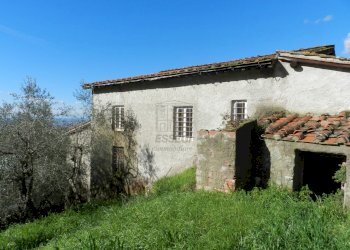 DSCN8419.JPG - Casale Lucca - foto 19