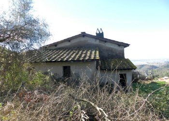 DSCN8421.JPG - Casale Lucca - foto 20