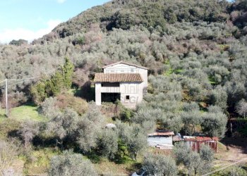 rustico da ristrutturare colline lucca vendesi.JPG - Casale Lucca - foto 27