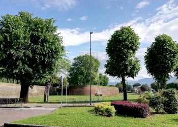 porta elisa lucca toscana mura copia.jpg - Bar - Tabacchi - Ricevitoria Lucca - foto 1