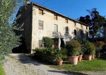 DSCN6680.JPG - Casale Via Gelli 41, Lucca - foto 5