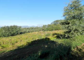 DSCN6676.JPG - Casale Via Gelli 41, Lucca - foto 23