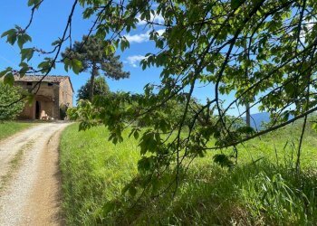 AFFASCINANTE CASA COLONICA DA RISTRUTTURARE NEL CU - Casale Via Gelli 41, Lucca - foto 10