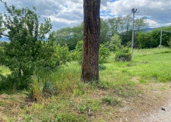 AFFASCINANTE CASA COLONICA DA RISTRUTTURARE NEL CU - Casale Via Gelli 41, Lucca - foto 20