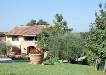 DSC_0013.JPG - Casale Palaia - foto 4