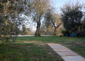 DSC_0213.JPG - Casale Palaia - foto 10