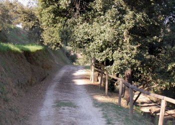 DSC_0137.JPG - Casale Palaia - foto 22